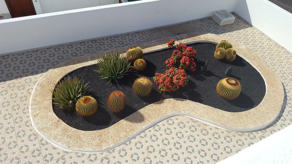 Panelo Cactus Apartment Puerto del Carmen (Lanzarote) Exterior photo